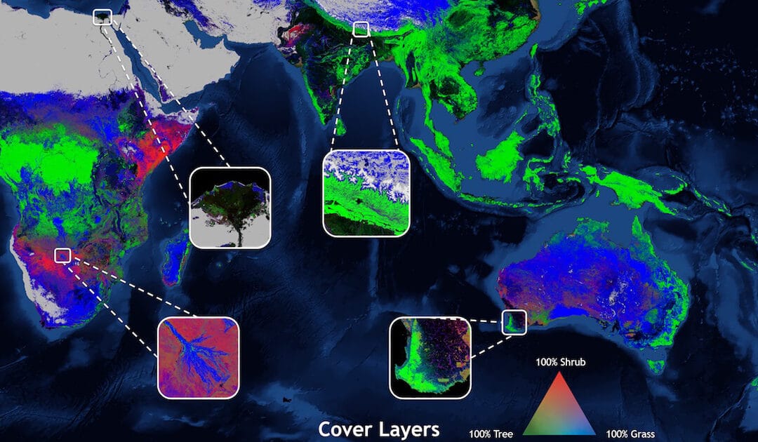 Global Land Cover Viewer